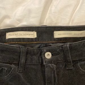 Pilcro and the Letterpress velour pants